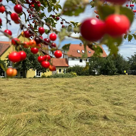 Hirsch Feuchtwangen