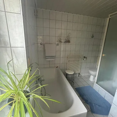 Apartamento Hirsch *