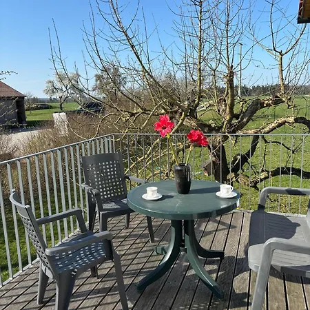 Apartman Hirsch *